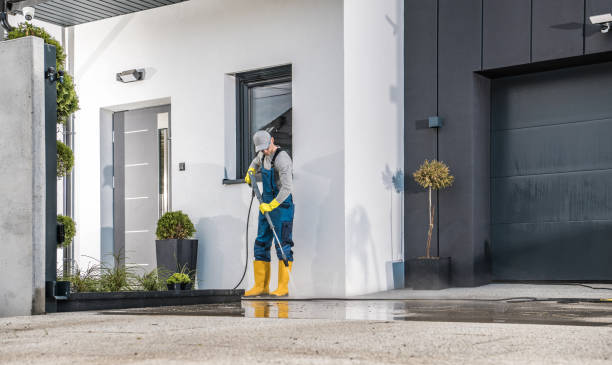 Best Soft Washing  in Glenwood, GA
